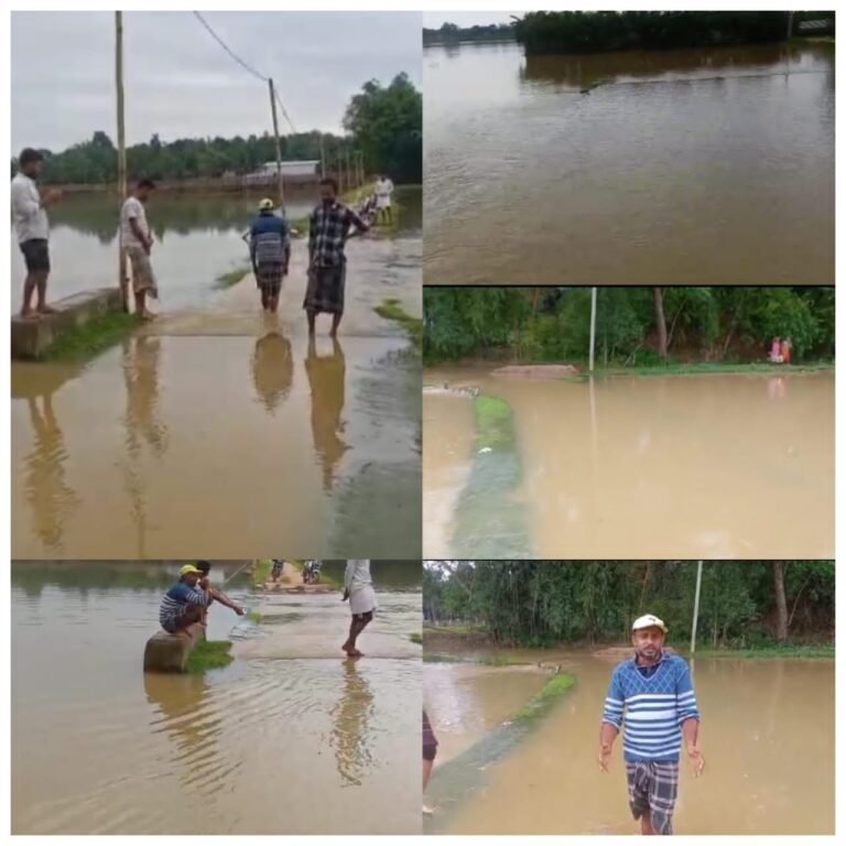 রাস্তা নয়, যেন জলপথ! দুর্ভোগে গৌরনগরের মানুষ